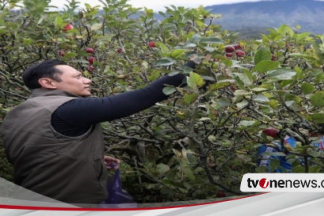 Ramai Diperbincangkan Publik! Gegara AHY Petik Apel, Dituding Beri Sinyal Kuat Jadi Menteri Jokowi