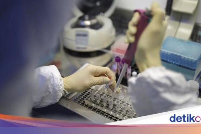 Ilmuwan China Temukan Virus Baru Mirip COVID, Berpotensi Menular ke Manusia