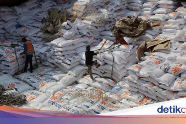 Catat! RI Teken Kontrak Impor Beras 700 Ribu Ton dari 4 Negara Ini