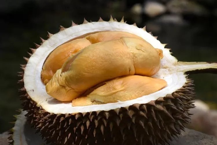 Bisa Sebabkan Gatal-Gatal, Ternyata Ini 5 Bahaya Mengkonsumsi Durian Secara Berlebihan