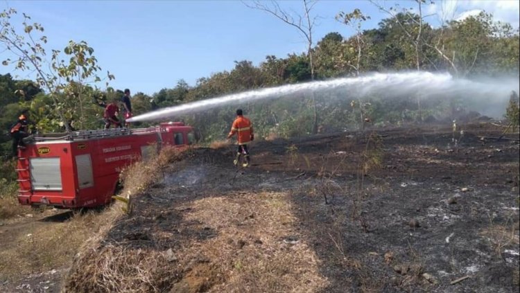 Enam Peristiwa Kebakaran Lahan Terjadi di Buleleng Sejak Awal Oktober