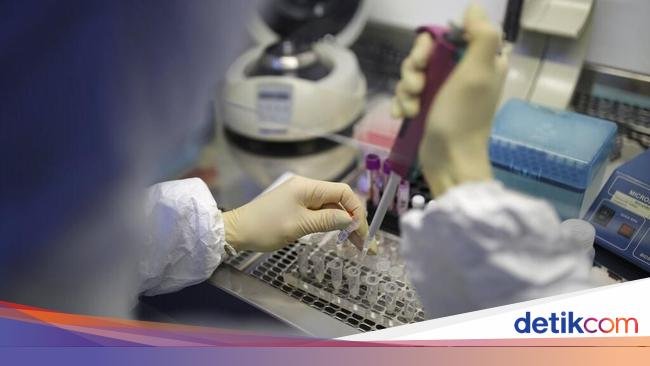 Ilmuwan China Temukan Virus Baru Mirip COVID, Berpotensi Menular ke Manusia