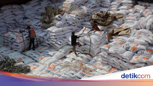 Catat! RI Teken Kontrak Impor Beras 700 Ribu Ton dari 4 Negara Ini