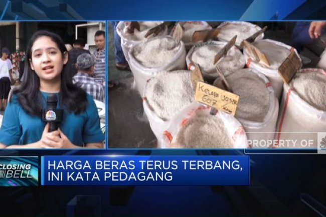 Harga Beras Terus Terbang, Ini Kata Pedagang