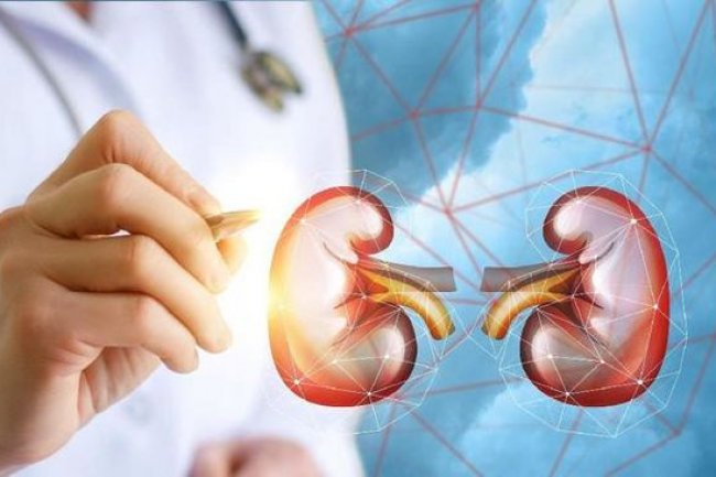 5 Kebiasaan Sepele Ini Bisa Picu Batu Ginjal, Stop Sekarang!