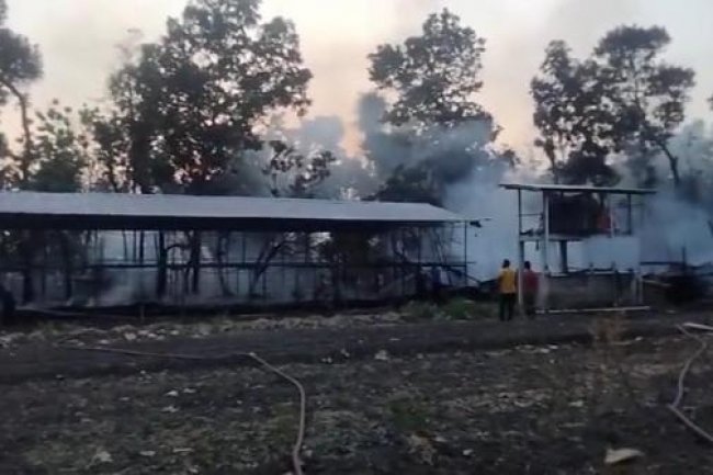 Peristiwa Ponorogo Hari Ini! Peternakan Ayam Terbakar, Kerugian Capai Miliaran Rupiah