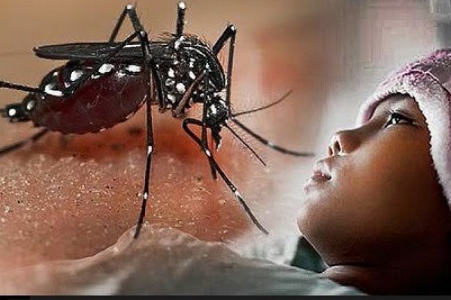 Musim Hujan Tiba, DPR Minta Pemerintah Waspadai Peningkatan DBD