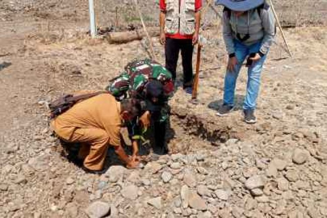 Turut Lestarikan Lingkungan, Pos Wini Selenggarakan Kegiatan Penanaman Seribu Pohon
