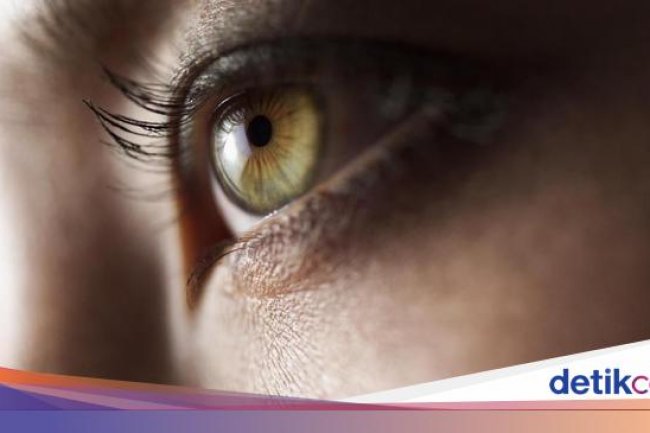 Pertama di Dunia! Ahli Bedah di New York Sukses Lakukan Transplantasi Mata