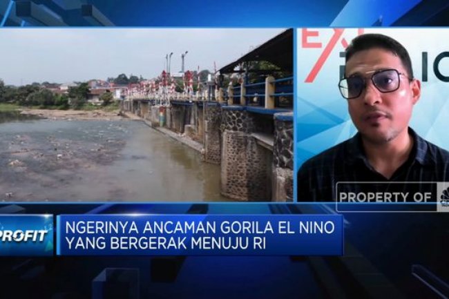 El Nino Bikin RI Kian Sulit Dapat Impor Beras, Apa Solusinya?