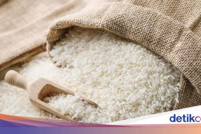 Mentan Beberkan Alasan Impor Beras 3,5 Juta Ton