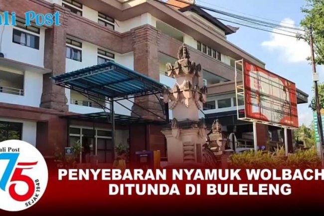 Penyebaran Nyamuk Wolbachia Ditunda di Buleleng