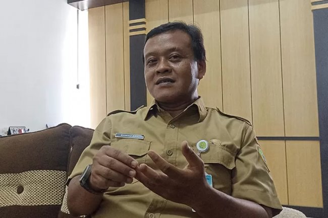 Ada Nyamuk Wolbachia, Kasus Demam Berdarah Dengue di Bantul Turun