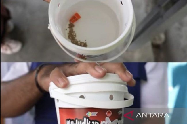 Kemenkes: Masyarakat tak perlu khawatir soal nyamuk ber-Wolbachia