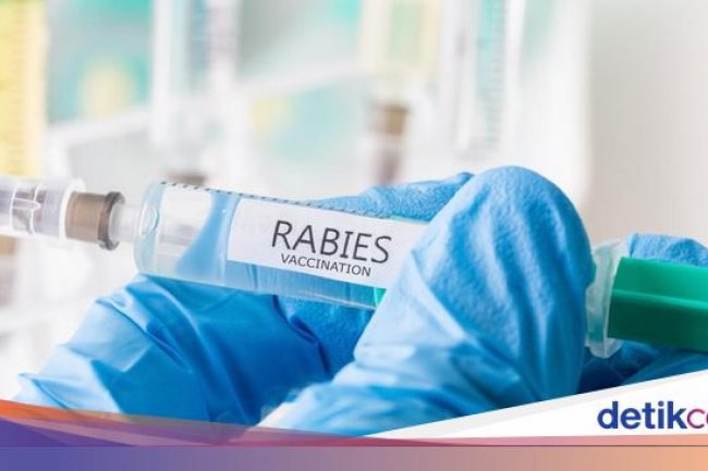 Siapa Orang yang Menemukan Vaksin Rabies? Ini Sejarah Singkatnya