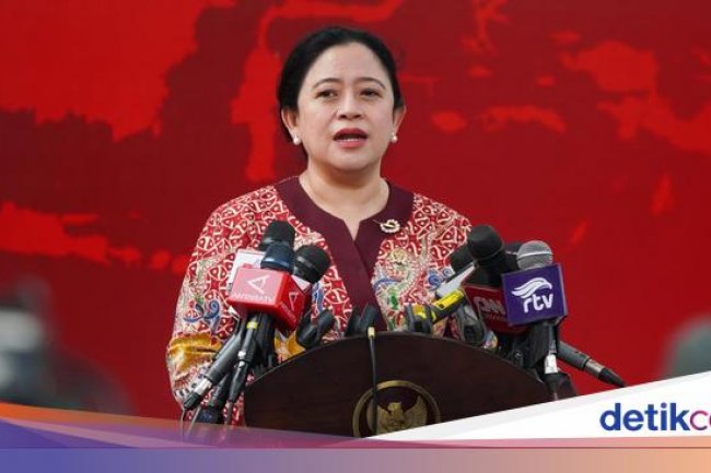 Kala Puan Ogah Status Gibran dan Bobby di PDIP Dipersoalkan