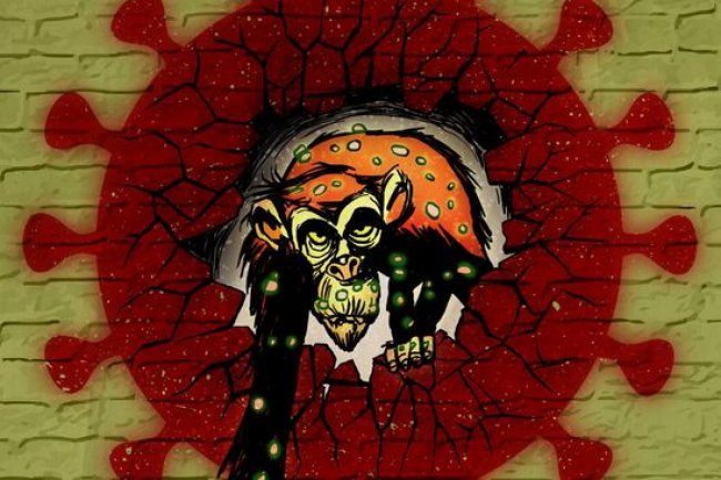 Satu Pasien Cacar Monyet Meninggal Dunia, RSCM Buka Suara