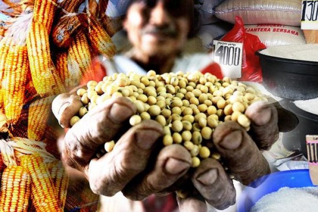 RI Waspada! Jokowi Kirim Warning Ancaman Krisis Pangan Dunia