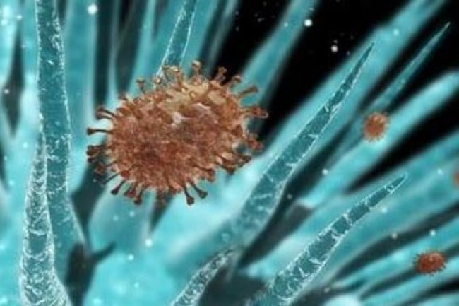 Inggris Mendeteksi Kasus Flu Babi Terbaru pada Manusia