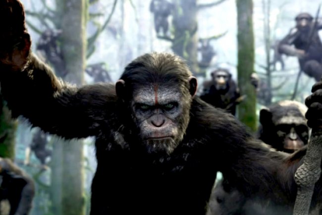 Sinopsis Film War for the Planet of the Apes (2017), Perang Antar Manusia dan Kera yang Menegangkan