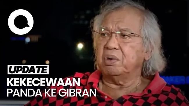 Panda Nababan Kembali Sebut Gibran Anak Ingusan: Manuver ke Sana Kemari