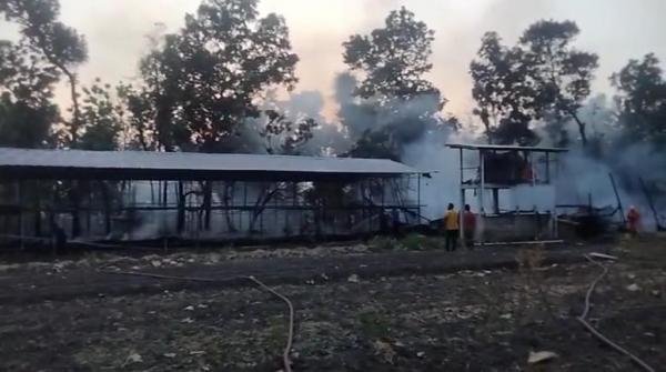 Peristiwa Ponorogo Hari Ini! Peternakan Ayam Terbakar, Kerugian Capai Miliaran Rupiah