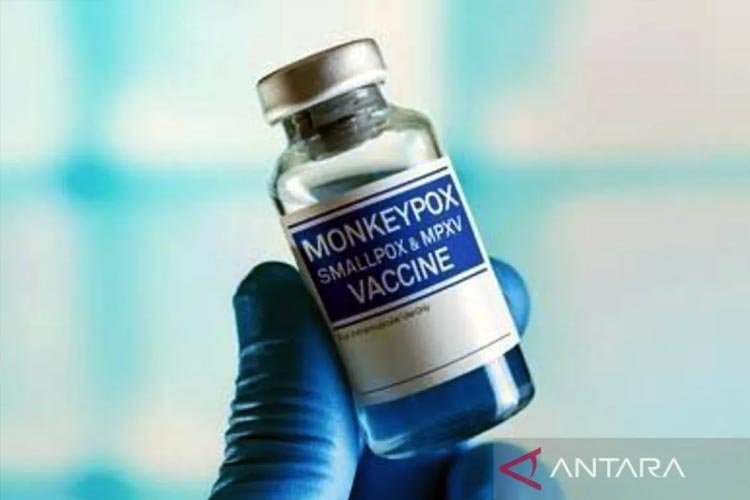 Ada 34 Kasus Positif Cacar Monyet sejak 13 Oktober 2023, Pemerintah Siapkan Vaksin Mpox