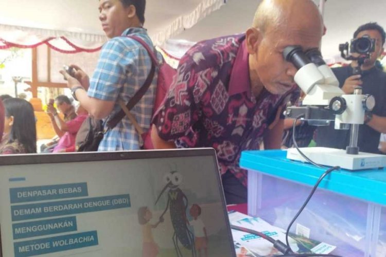 Wisatawan Resah Soal Penyebaran Nyamuk Wolbachia hingga Muncul Petisi, Ini Kata Diskes Badung