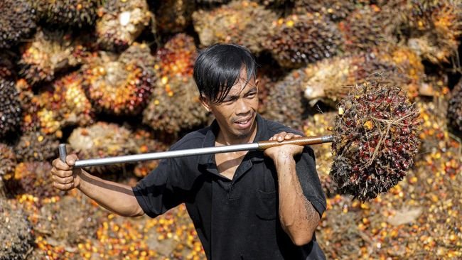 Moeldoko Ungkap 3 Masalah Petani Sawit di Indonesia