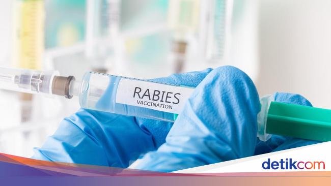 Siapa Orang yang Menemukan Vaksin Rabies? Ini Sejarah Singkatnya