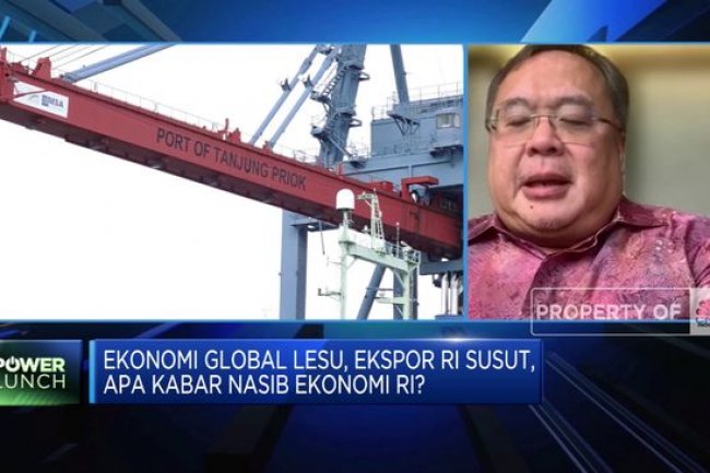 Ekspor RI Susut, Ini Saran Ekonom Untuk Pemerintah