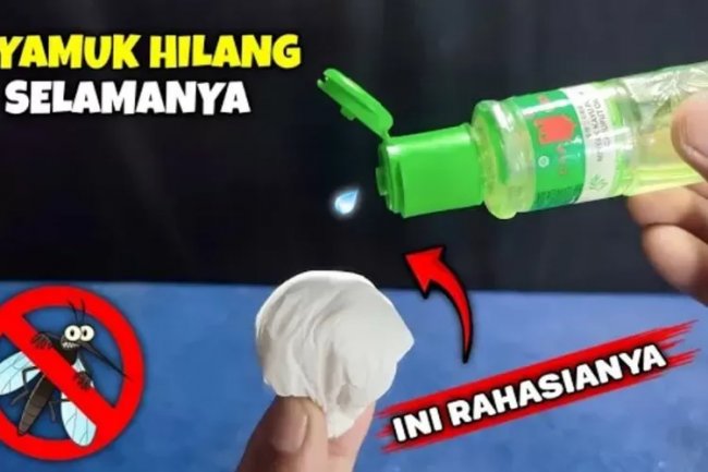 Minyak Kayu Putih dan Tisu Bisa Jadi Trik Jitu Diolah Menjadi Ramuan Sebagai Senjata Ampuh Membasmi Nyamuk, Keluarga Bakal Aman Dari Gigitan Nyamuk!