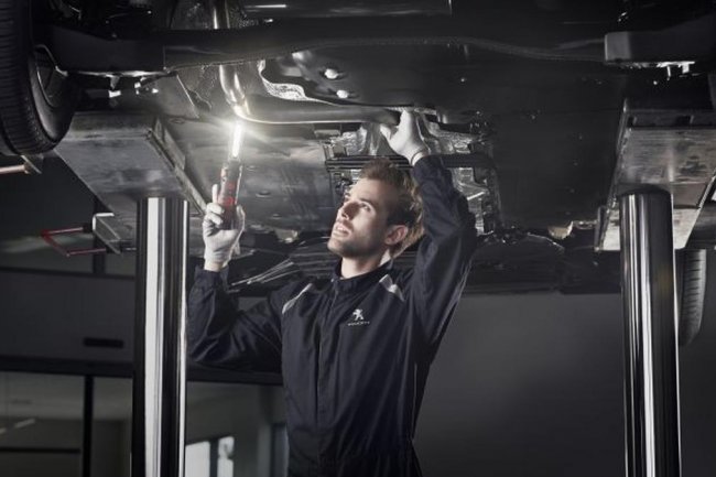 5 Langkah Tepat Membersihkan Sepatbor Mobil dengan Mudah