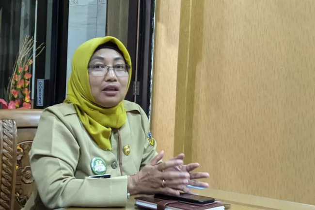 Waspada! Angka Kematian Akibat Serangan DBD di Pati Bertambah