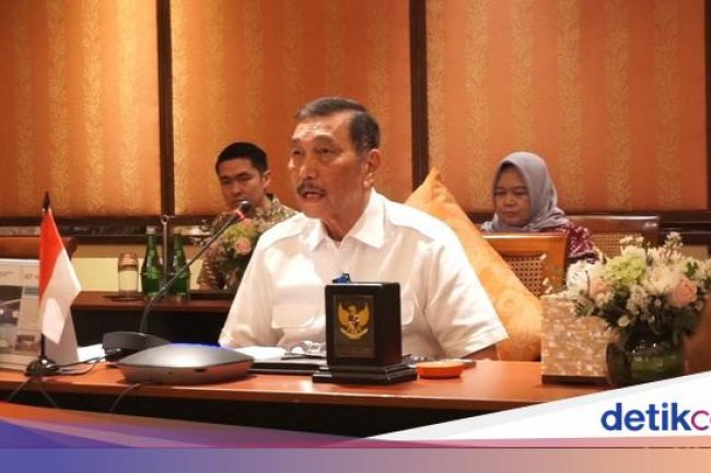 Luhut Minta Setop Sebut Anak Muda yang Maju Jadi Pemimpin Masih Ingusan!