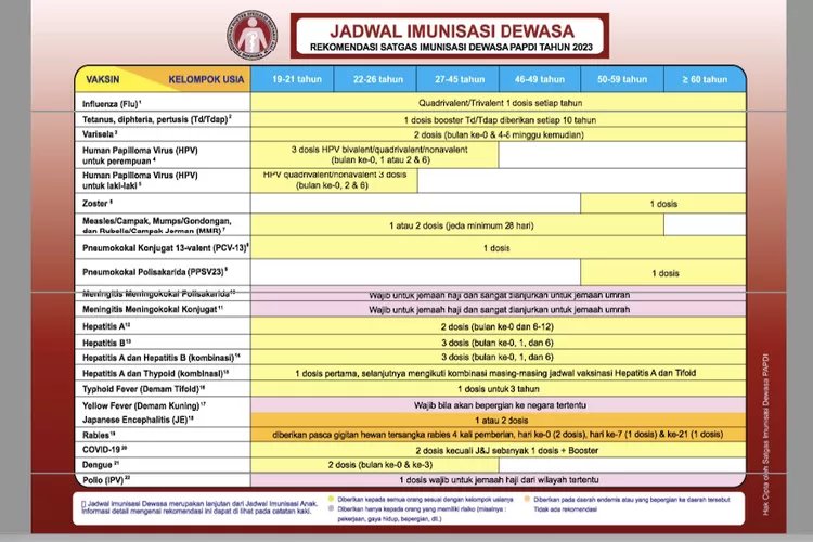 PAPDI Perbarui Rekomendasi Jadwal Imunisasi Dewasa