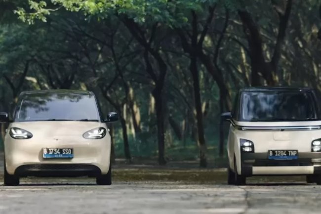 Berada dalam Naungan Bendera yang Sama, Sebenarnya Apa Sih Perbedaan Wuling Air EV dan Wuling Binguo EV?