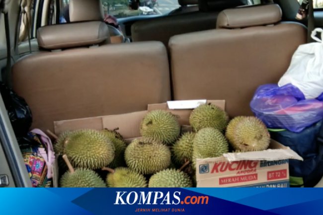 Aroma Makanan Ini Bikin AC Mobil Cepat Rusak