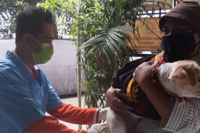 Korban Tewas Akibat Rabies di Timor Tengah Selatan Bertambah Jadi 14 Orang