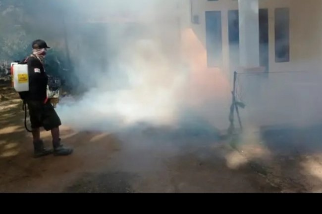 Cegah Nyamuk DBD, Pemdes Gintangan Banyuwangi Lakukan Fogging