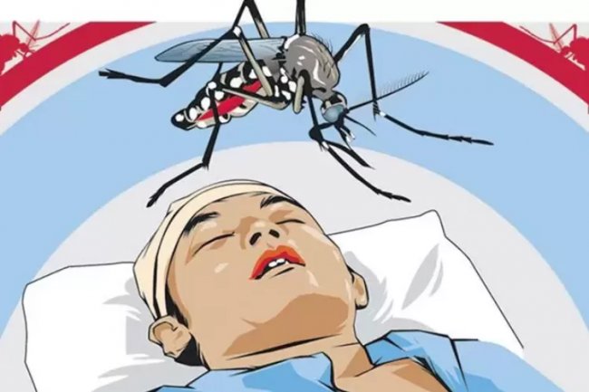 Antisipasi DBD, Gunungkidul Giatkan PSN dengan 3M tiap Minggu