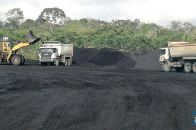 Harga Batu Bara Jatuh Nyaris 1%, Terendah dalam 8 Hari