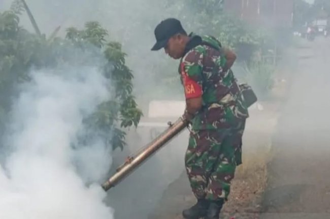 251 Kasus DBD di Kalsel, Dinkes Minta Pemda Tingkatkan Kewaspadaan