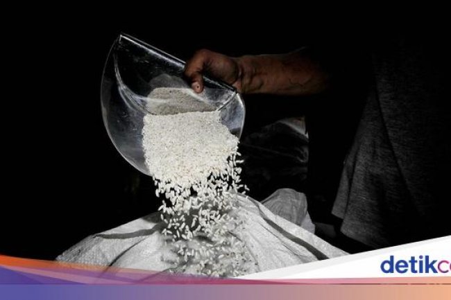 Impor Beras Tahun Ini 3 Juta Ton, Kapan Masuk RI?