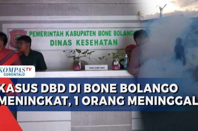 Kasus DBD di Bone Bolango Terus Meningkat, Satu Orang Meninggal Dunia