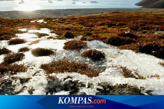 Virus Zombi Purba Ditemukan di Arktik, Peneliti: Bisa Picu Pandemi Baru