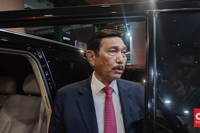 Isi Lengkap 'Amarah' Luhut ke Tom Lembong soal Contekan-Nikel Jokowi