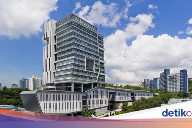 25 Universitas Paling Internasional Versi THE 2024, Incaran Mahasiswa Mancanegara