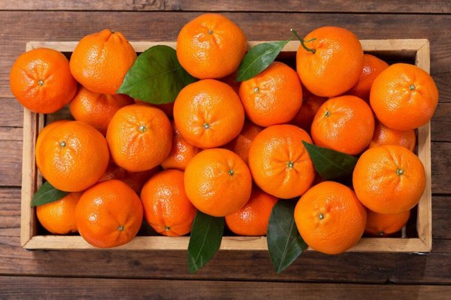 Beri Nutrisi Pada Otak Anda dengan Makanan Ini