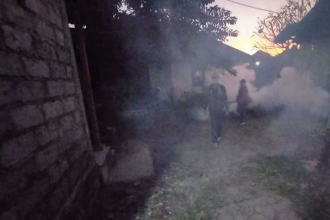 Di 2023 Badung Catat Ribuan Kasus DBD, Kecamatan Ini Paling Rawan